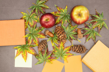 Autumn concept - Books, leaves, apples and pine cones in autumn colors on the table 