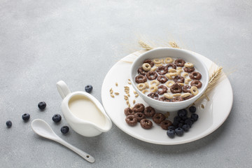 Close-up tasty cereal bowl with milk