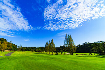 Image of management : landscape of Japanese golf scene in fairway ( safety area )