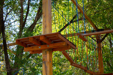 bird feeder for birds