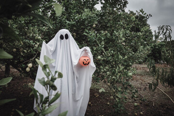 Ghost covered with a white ghost sheet on a forest with halloween pumpkin candy jar. Halloween...