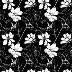 Vector Cosmos floral botanical flowers. Black and white engraved ink art. Seamless background pattern.