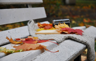 autumn leaves, book and camera on wooden background