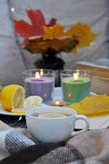 different autumn cozy accessories