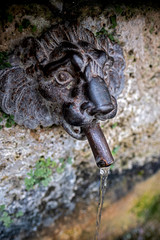 Fototapeta na wymiar Gargoyle antique lion's head made of bronze