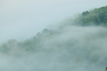 Fog in morning time with mountain view.