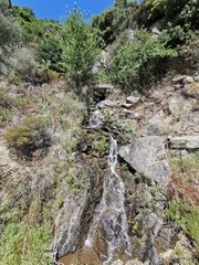 waterfall in forest