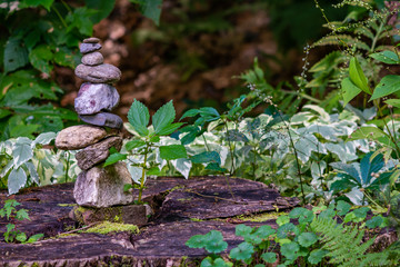 Obraz premium mossy rock cairn