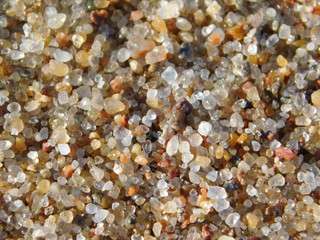 sand macro