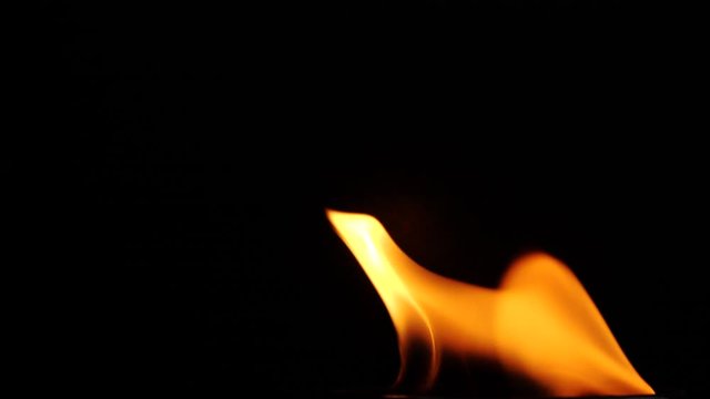 Beautiful fire flames collection isolated on black background in slow motion
