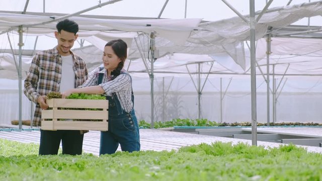 4k slow handheld asian couple farmer takecare and discuss how to growth plant in hydroponic farn greenhouse background
