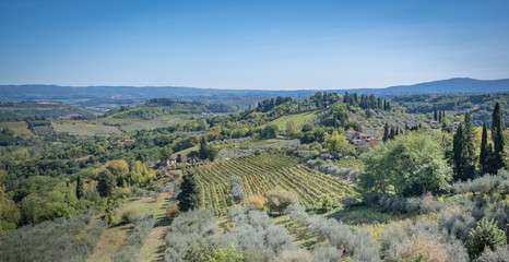 Toskana, Landschaft und Weinberge im Spätsommer