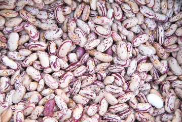 beans fresh on the market. Healthy Lifestyle. vegan.