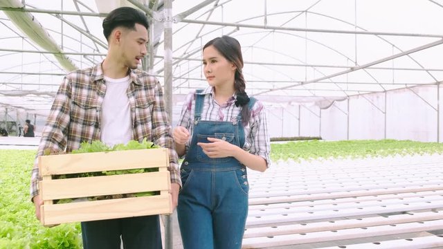 4k slow handheld asian couple farmer takecare and discuss how to growth plant in hydroponic farn greenhouse background