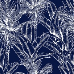 Seamless pattern with sketchy tropical leaves. White line. Hand drawn vector illustration on dark blue background.