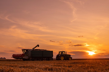 Fototapeta premium Agricultural Season Harvest Time, Colorful Dramatic Sky At Sunset