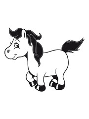 Pony Pferd reiten laufen traben spass Mädchen süss lieb springen spielen frech lächeln 1c