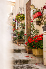 Fototapeta na wymiar Ruelle fleurie dans un village typique de Provence