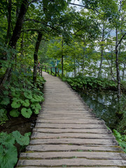 Croatia, august 2019: Picturesque view of Plitvice National Park. Colorful summer scene of green forest with pure water waterfall. Great countryside landscape of Croatia.