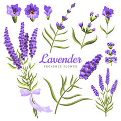 Lavender. Set of watercolor lavender flowers and symbols on the white background, aquarelle. Vector illustration. Hand-drawn floral decorative elements useful for invitations, scrapbooking, design. © the8monkey