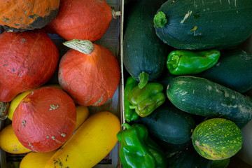 Des légumes d'automne oranges et jaunes à côté de légumes verts