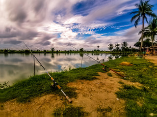 irrigation of field