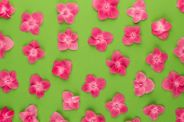 Springtime floral greeting card template.