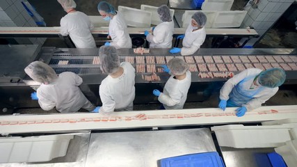 Top view of factory staff processing and relocating fish sticks