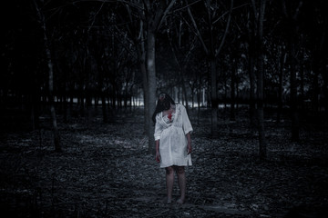 Portrait of asian woman make up ghost face with blood,Horror scene,Scary background,Halloween...