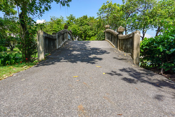 Stone path in the garden