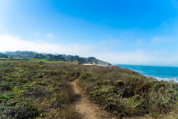 Fototapeta na wymiar Beautiful foggy monring on the coast of California