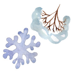 Winter ornament elements. Watercolor background illustration set. Isolated ornament illustration element.