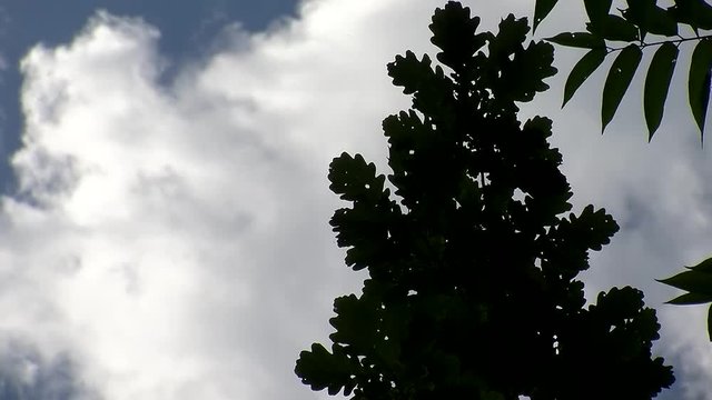 Rasch ziehende Wolken am Himmel