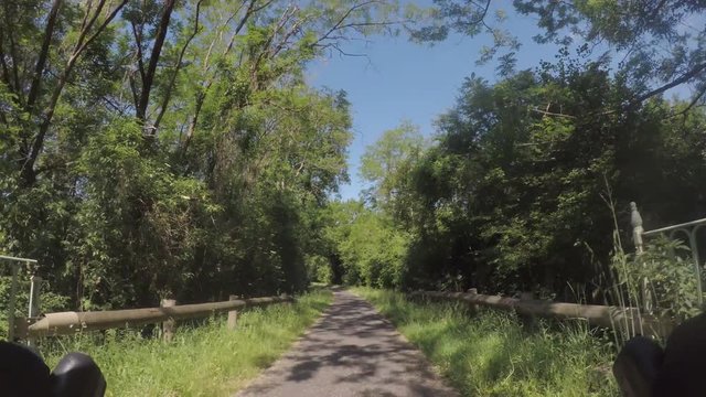 Road bike in the forest, on an old bridge