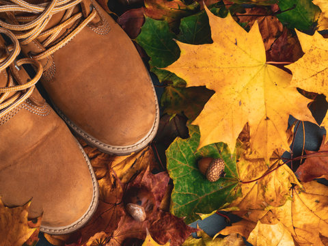 Fall, autumn, leaves, beige shoes. Conceptual image of modern boots on the autumn colorful leaves. Feet shoes walking in nature