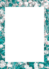 White Frame with Decorated Borders