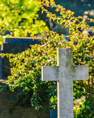 Small Cemetery, Montevideo, Uruguay