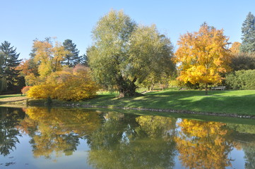 Jesień w parku nad wodą