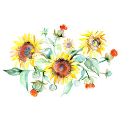 Sunflower bouquet floral botanical flowers. Watercolor background set. Isolated bouquets illustration element.
