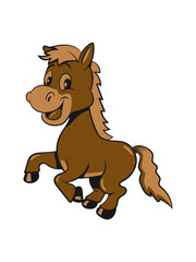 Pony Pferd laufen aufbäumen spass Mädchen jungen süss lieb springen spielen frech lächeln 3c
