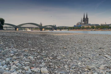 Kussenhoes COLOGNE, GERMANY - JULY 20, 2018: Prolonged drought in Germany, low water of the Rhine river in Cologne at early morning time on July 20, 2018 in Germany © alfotokunst