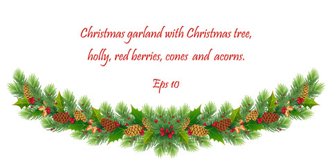 Christmas holiday design. Realistic fir-tree branches, pine, cones, red berries, holly, acorns and mistletoe. Eps 10 © 151115