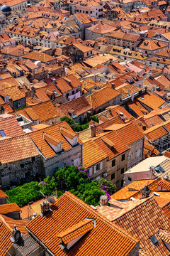 Red roofs on old stone houses and green gardens in Dubrovnik, Dalmatia, Croatia, beautiful background image