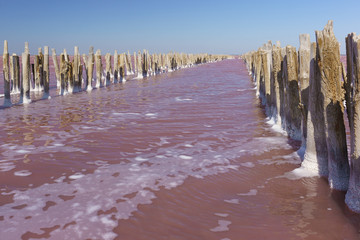 Pink lake Sasyk Sivash in the Western part of the Crimean Peninsula. The remains of a wooden dam from salt mining