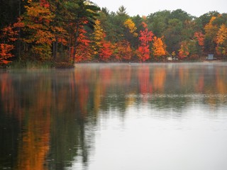 Colorful Fall Trees Reflected in Water of Cub Lake