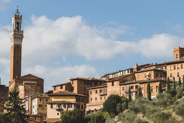 Obraz premium Landscape of Siena, Tuscany