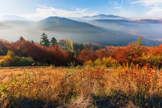 foggy morning in carpathian mountains. amazing nature landscape in fall season. forest in red and orange foliage. meadow in weathered grass. distant ridge in misty atmosphere under the blue sky