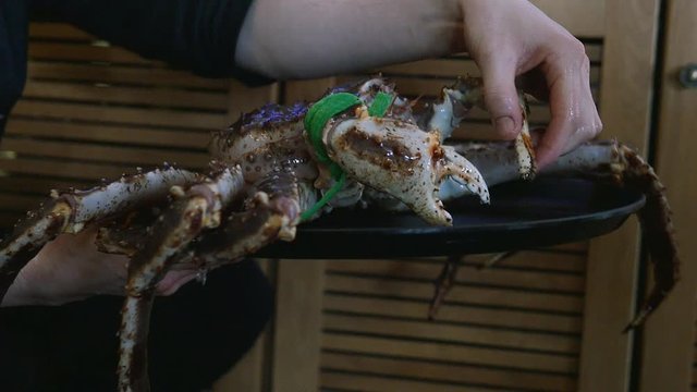 Someone's hand is touching a giant fiddler crab and its nippers on a plate in a reastaurant. An exotic seafood cooking concept.