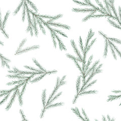Christmas watercolor pattern with green spruce tree branches. Winter nature seamless print. Hand drawn illustration on white background