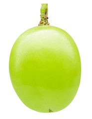single green grape isolated on a white background